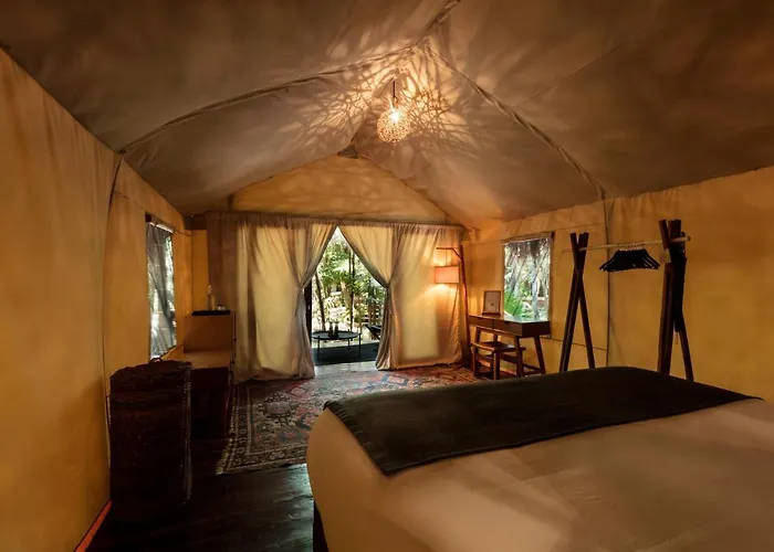 Our Habitas - Adults Only 5*