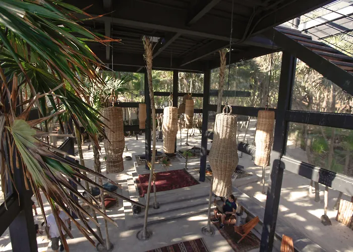 Our Habitas - Adults Only